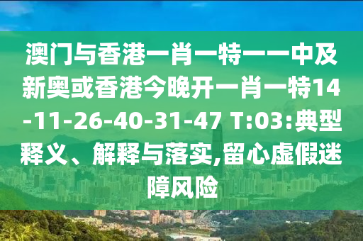 澳門與香港一肖一特一一中及新奧或香港今晚開一肖一特14-11-26-40-31-47 T:03:典型釋義、解釋與落實,留心虛假迷障風險